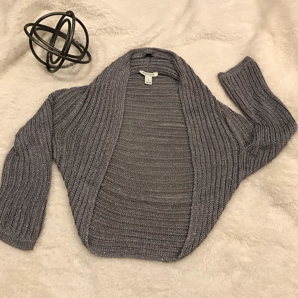 WHBM silver sweater.